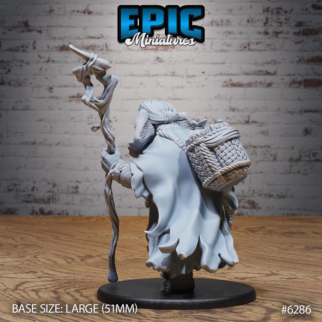 Elephant Folk Druid Option #6286 back DND miniature Beastly Champions 16k resin