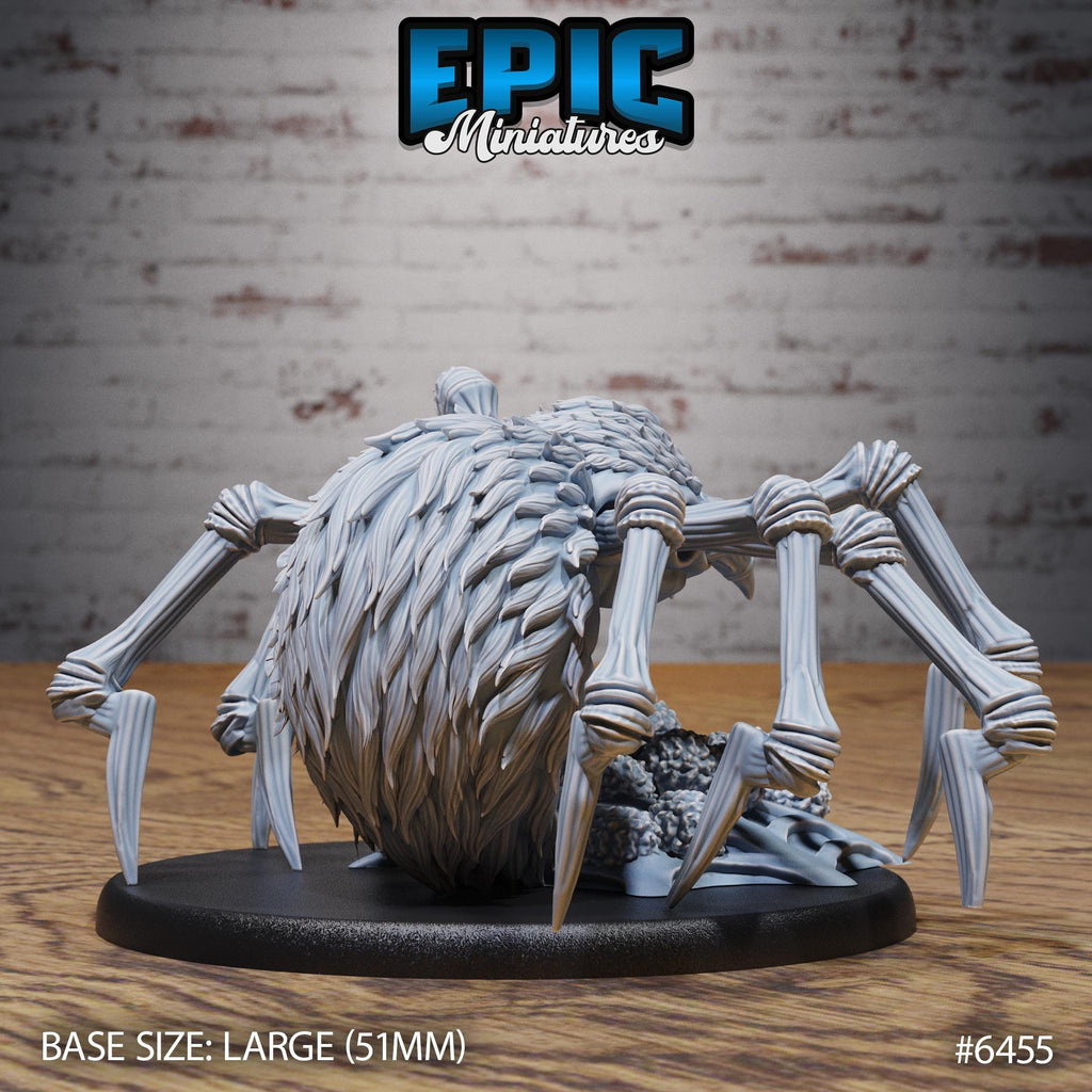 Dire Spider Option #6455 back DND miniature Dragons Reborn 16k resin