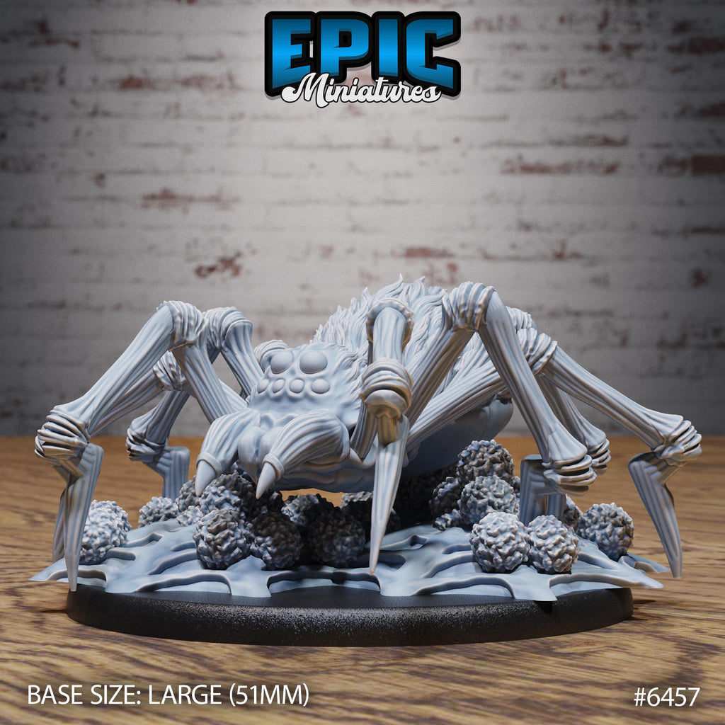 Dire Spider Option #6457 front DND miniature Dragons Reborn 16k resin