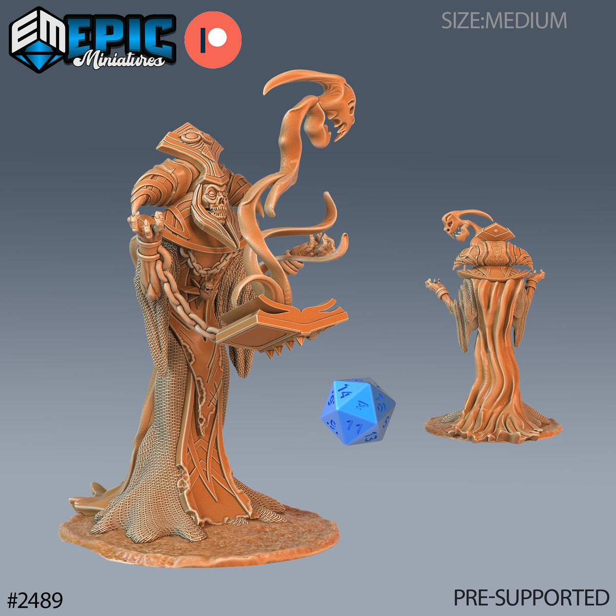 Arch Lich Option #2489 front DND miniature Haunting Catacombs 16k resin