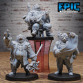 Bear Bard Set of 3 DND miniatures group photo Beastly Champions
