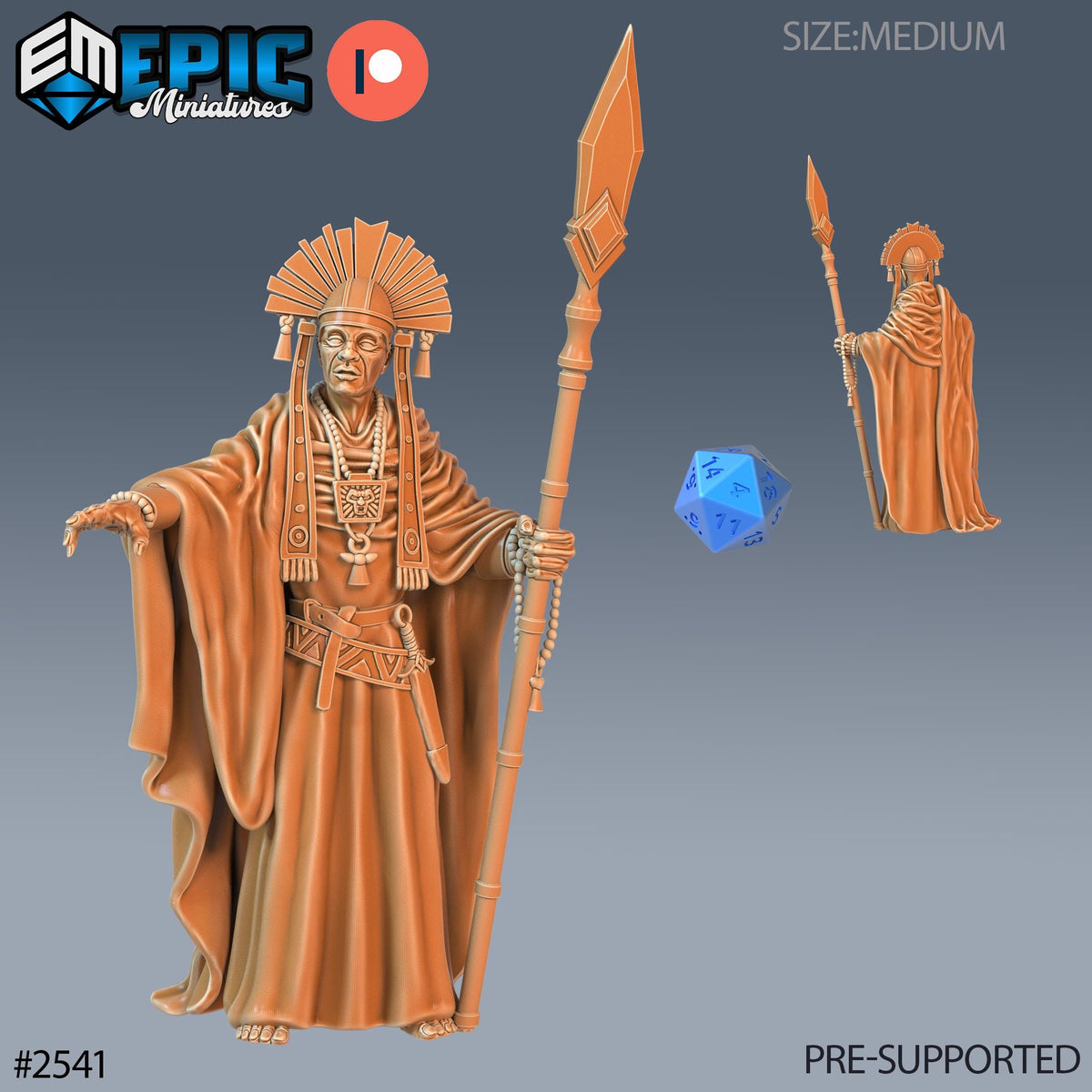 Shaman Chief Option #2541 front DND miniature Forgotten Utopia 16k resin