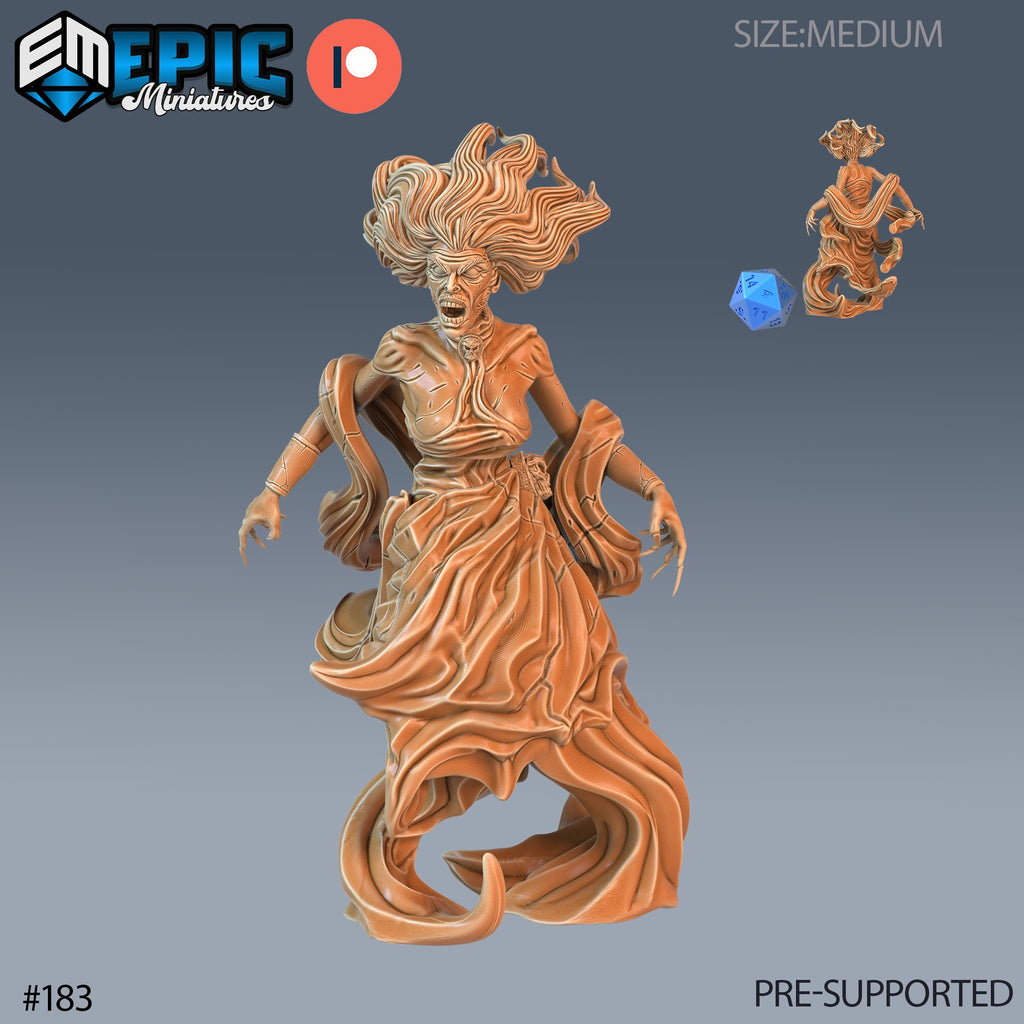 Banshee Option #183 front DND miniature Castle of Terror 16k resin