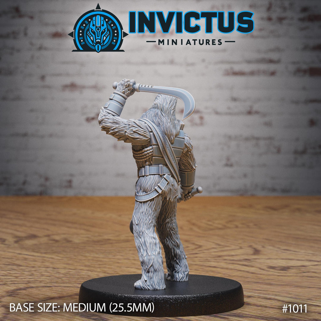 Wooly Rebel Option #1011 back DND miniature Shadows of the Threat 16k resin