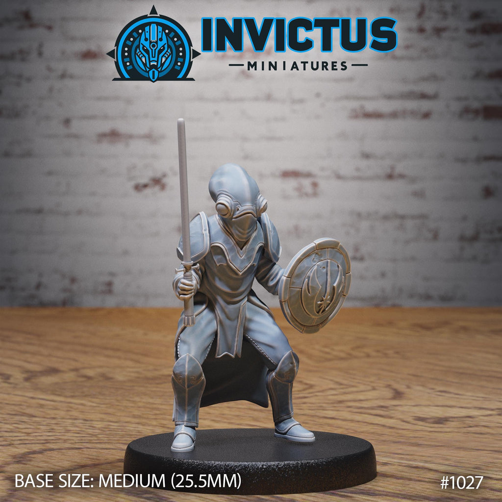 Starward Option #1027 front DND miniature Borderworld Wardens 16k resin