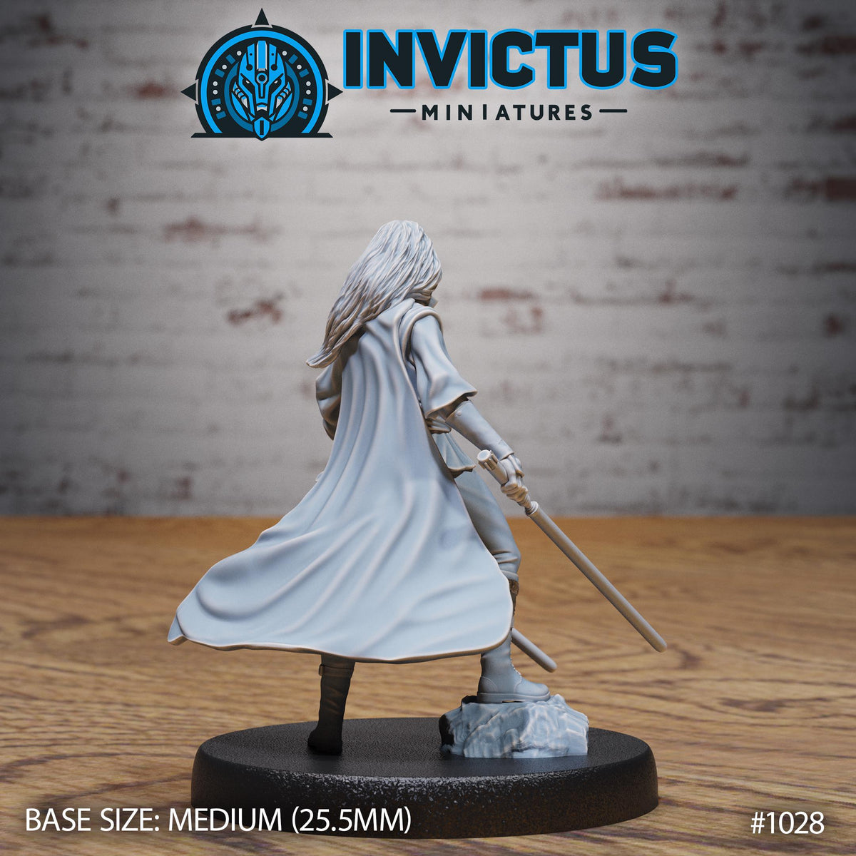 Starward Option #1028 back DND miniature Borderworld Wardens 16k resin