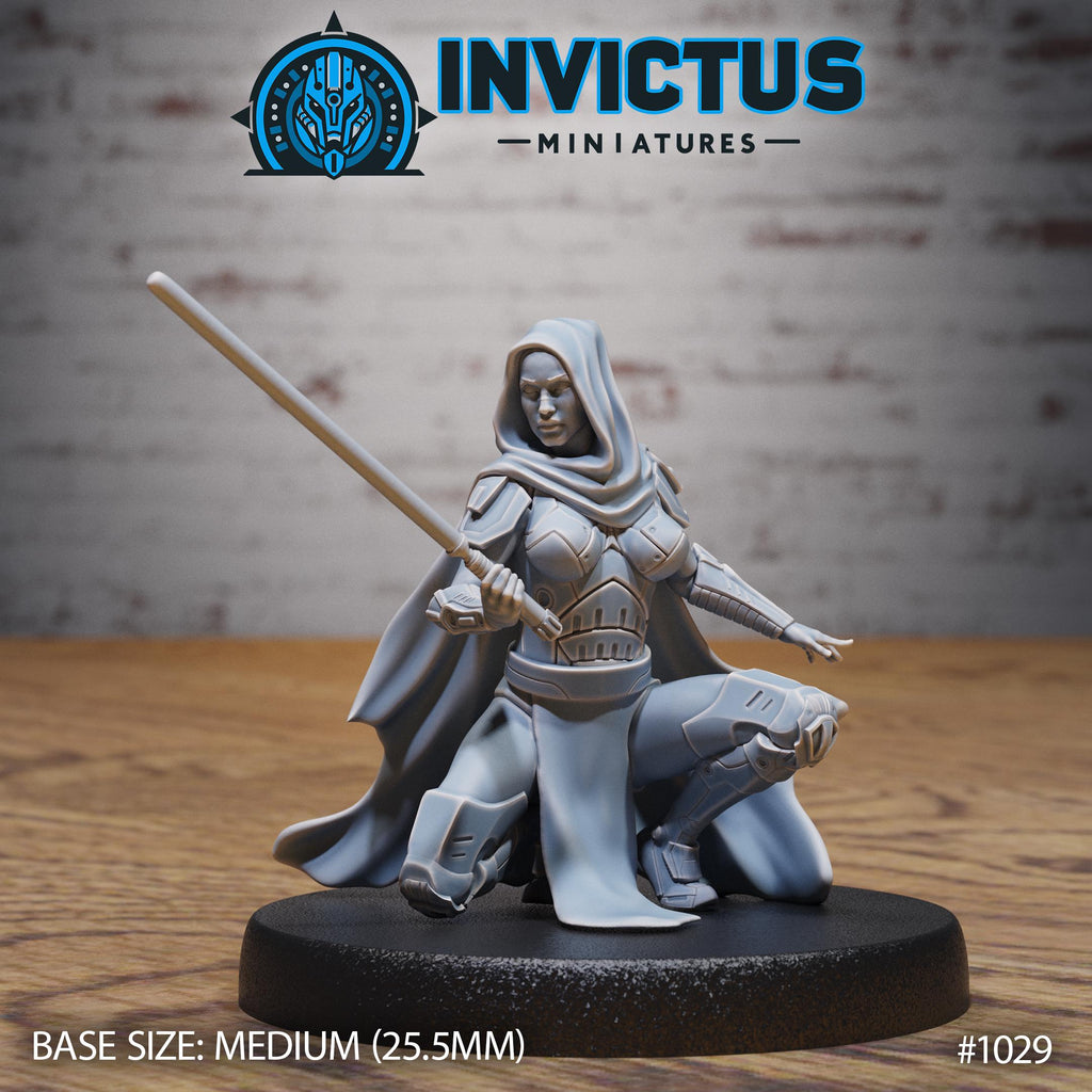 Starward Option #1029 front DND miniature Borderworld Wardens 16k resin