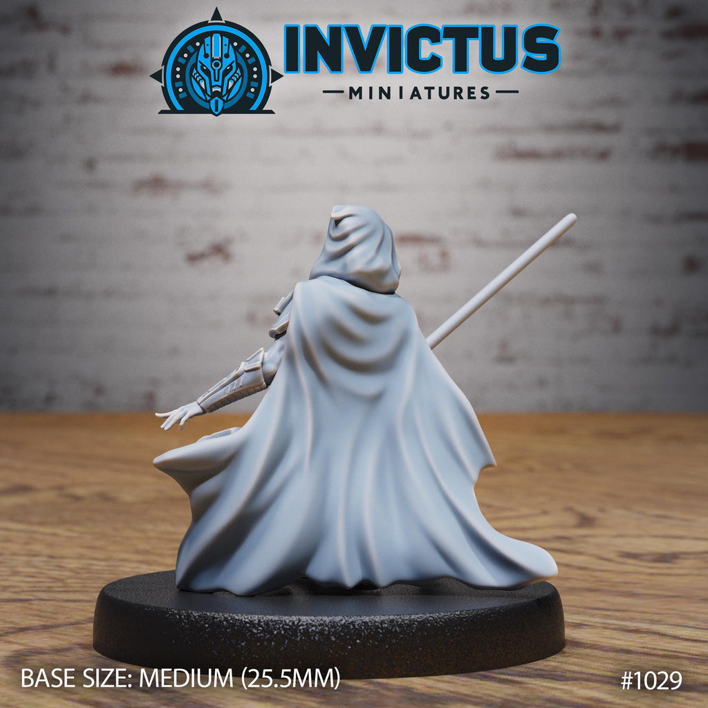 Starward Option #1029 back DND miniature Borderworld Wardens 16k resin