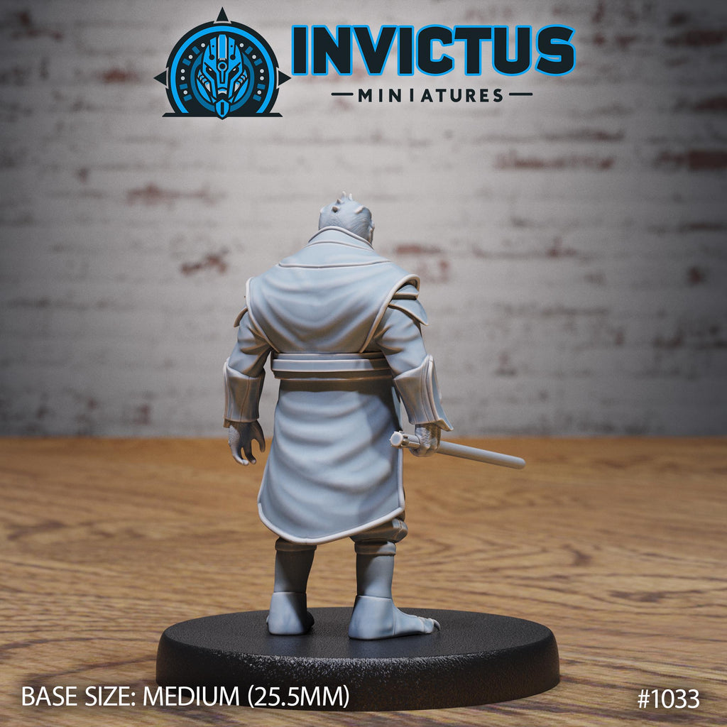 Starward Option #1033 back DND miniature Borderworld Wardens 16k resin