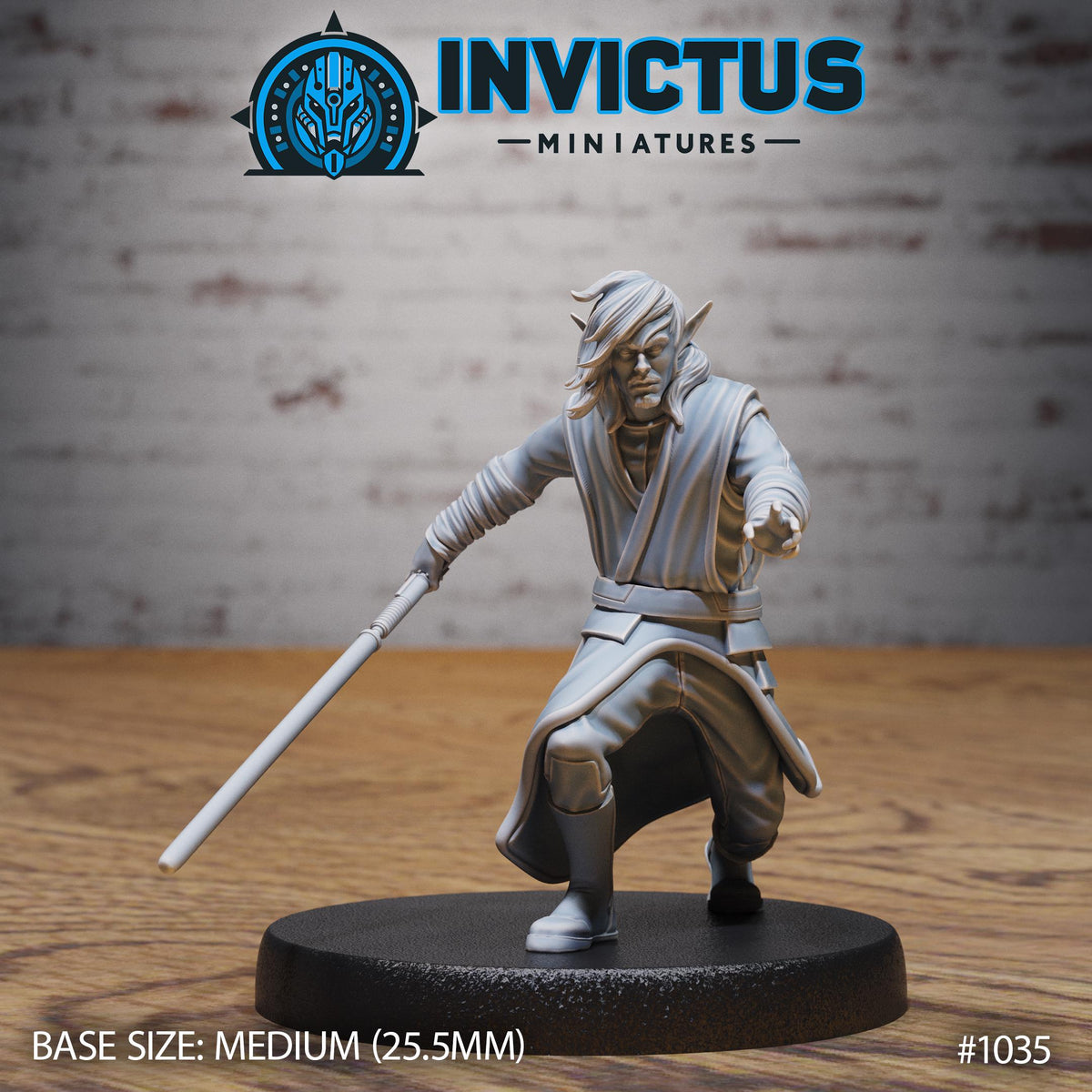 Starward Option #1035 front DND miniature Borderworld Wardens 16k resin