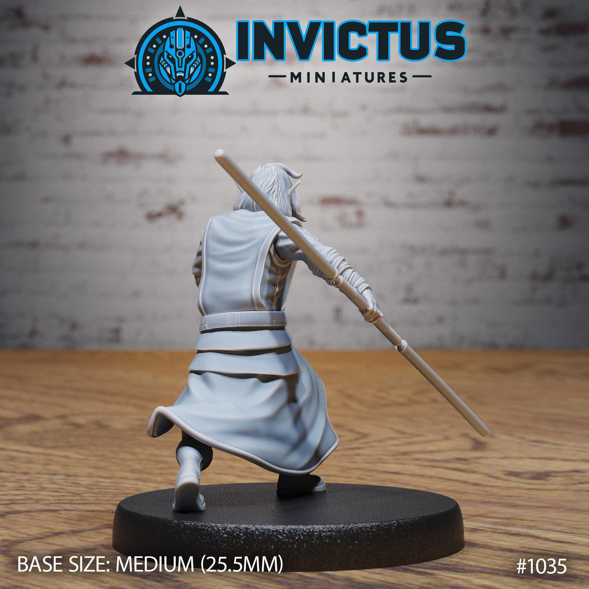 Starward Option #1035 back DND miniature Borderworld Wardens 16k resin
