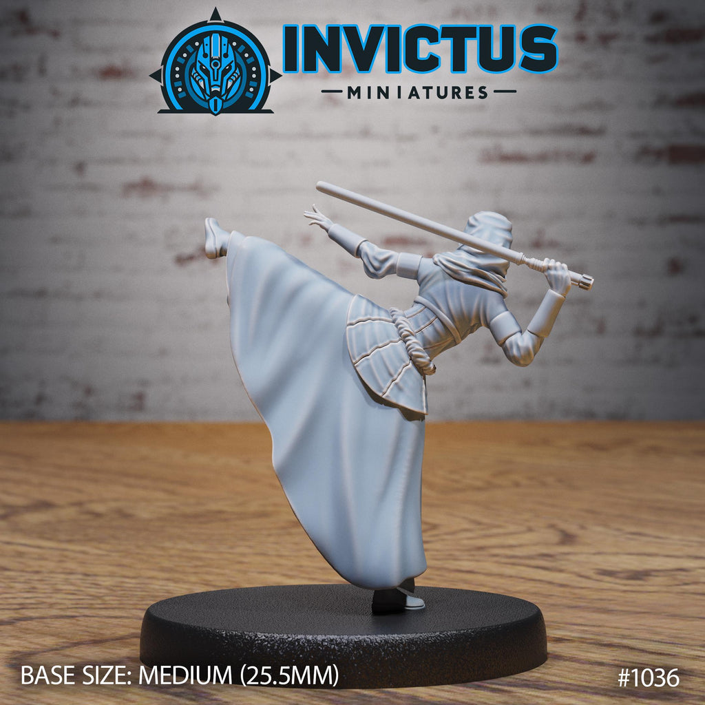 Starward Option #1036 back DND miniature Borderworld Wardens 16k resin