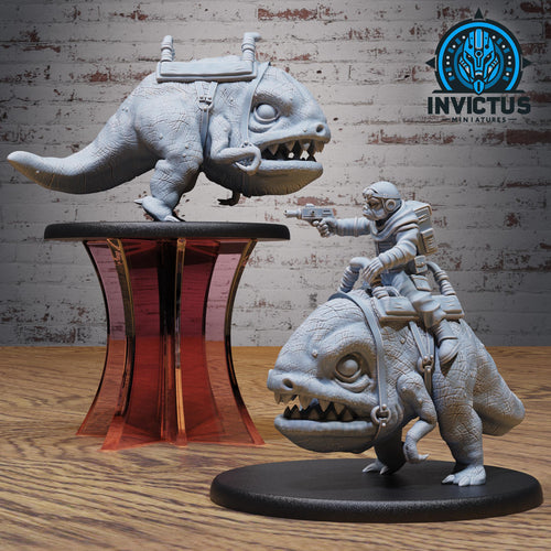Borderworld Gang Rider Set of 2 DND miniatures group photo Borderworld Wardens