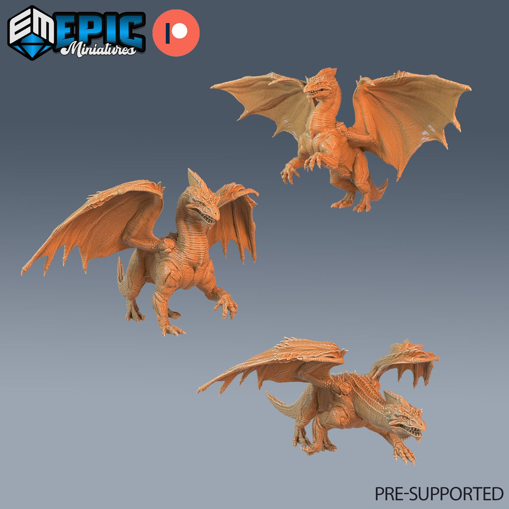 White Dragon Set of 3 DND Mini | Arctic Nights Collection | TTRPG | Ancient Adult Young DND miniatures group photo