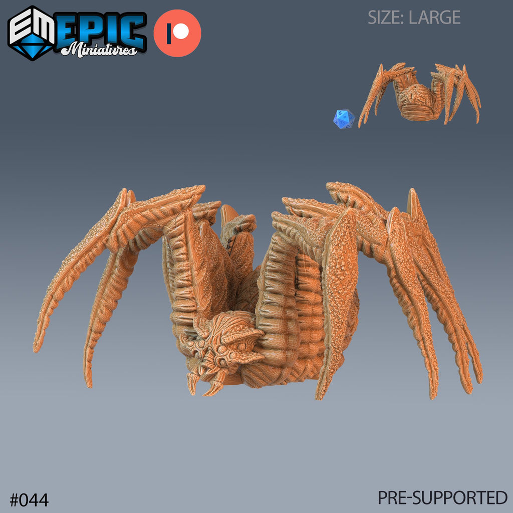 Giant Spider Set of 3 DND Minis | Corrupted Forest Collection | TTRPG | Beyond Witchlight Prismeer Feywild Hourglass Coven Forest Cave Thorn Giant Forest Spider front DND miniature  16k resin
