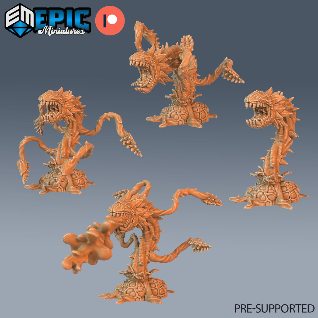 Man-Eating Plant Set of 4 DND Minis | Corrupted Forest Collection | TTRPG | Beyond Witchlight Prismeer Feywild Hourglass Coven DND miniatures group photo