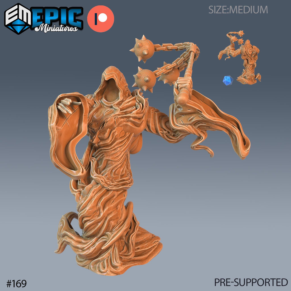 Wraith Option #169 front DND miniature Castle of Terror 16k resin