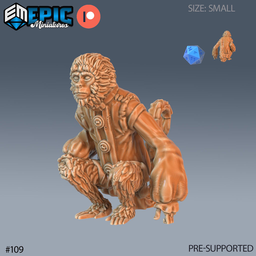 Pirate Monkey Set of 3 DND Minis | Pirates Voyage Collection | TTRPG | Swashbuckling Nautical Heist Skullport Jahaka Spelljammer Option #109 front DND miniature  16k resin