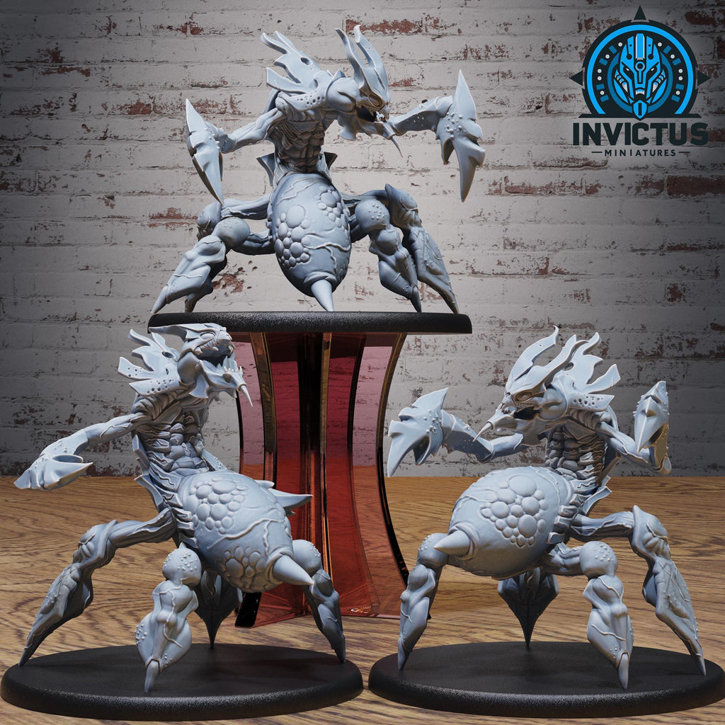 Insect Queen Squad Set of 3 DND miniatures group photo Spy Assault
