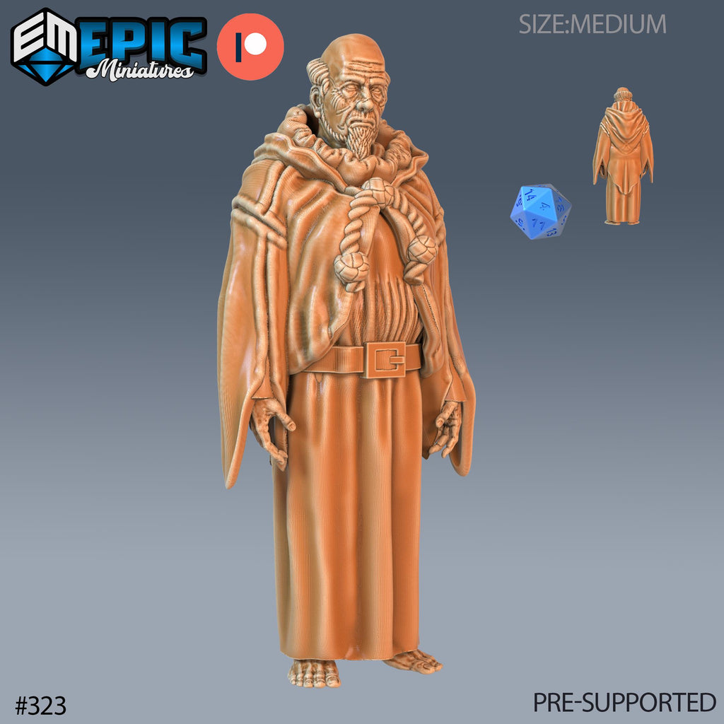 Villager Set of 16 DND Minis | Villager Collection | TTRPG | Blacksmith Innkeeper Waitress Farmer Huntress Shepherd Merchant Jester Priest Priest front DND miniature  16k resin