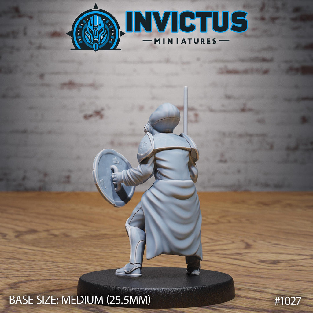 Starward Option #1027 back DND miniature Borderworld Wardens 16k resin