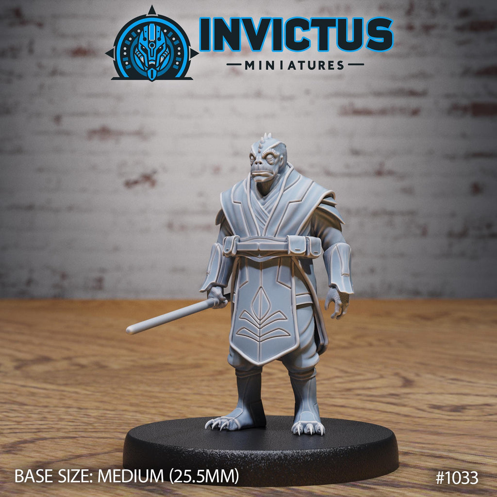 Starward Option #1033 front DND miniature Borderworld Wardens 16k resin