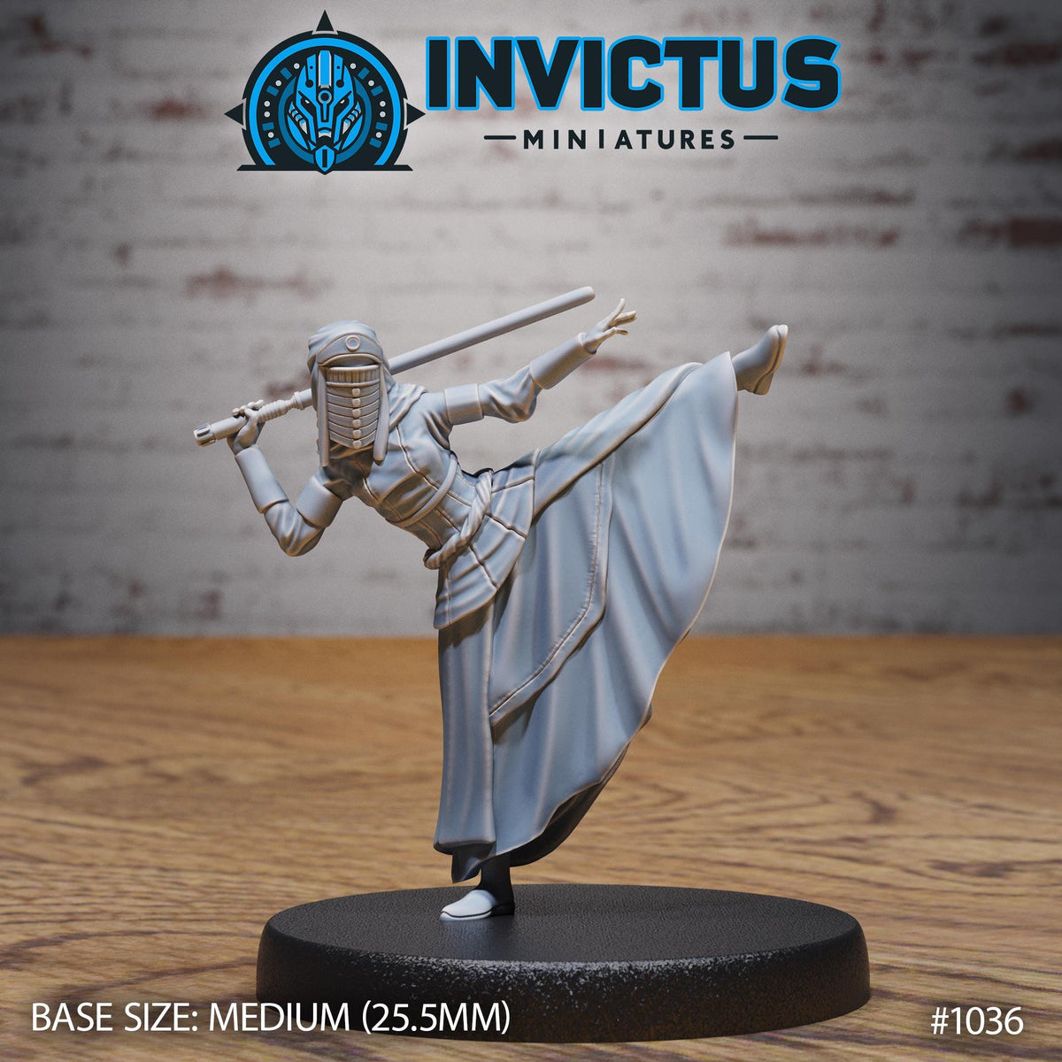 Starward Option #1036 front DND miniature Borderworld Wardens 16k resin