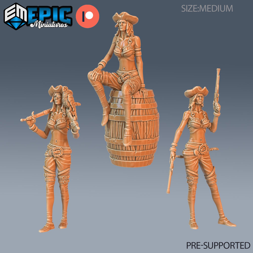 Pirate Striker Set of 3 DND Minis | Pirates Voyage Collection | TTRPG | Swashbuckling Nautical Heist Skullport Jahaka Spelljammer DND miniatures group photo