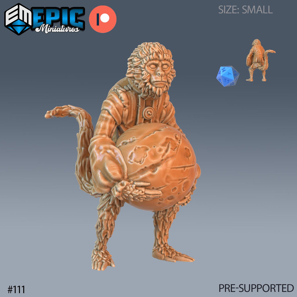 Pirate Monkey Set of 3 DND Minis | Pirates Voyage Collection | TTRPG | Swashbuckling Nautical Heist Skullport Jahaka Spelljammer Option #111 front DND miniature  16k resin