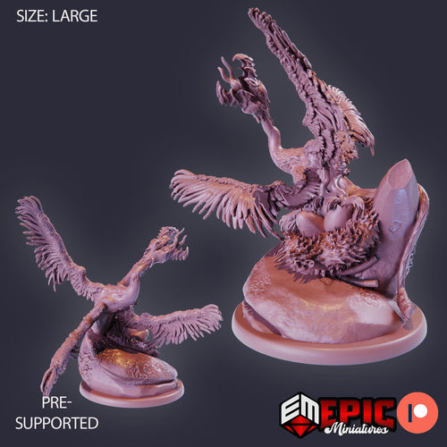Arrowhawk Nest DND miniatures group photo Sky Dominion
