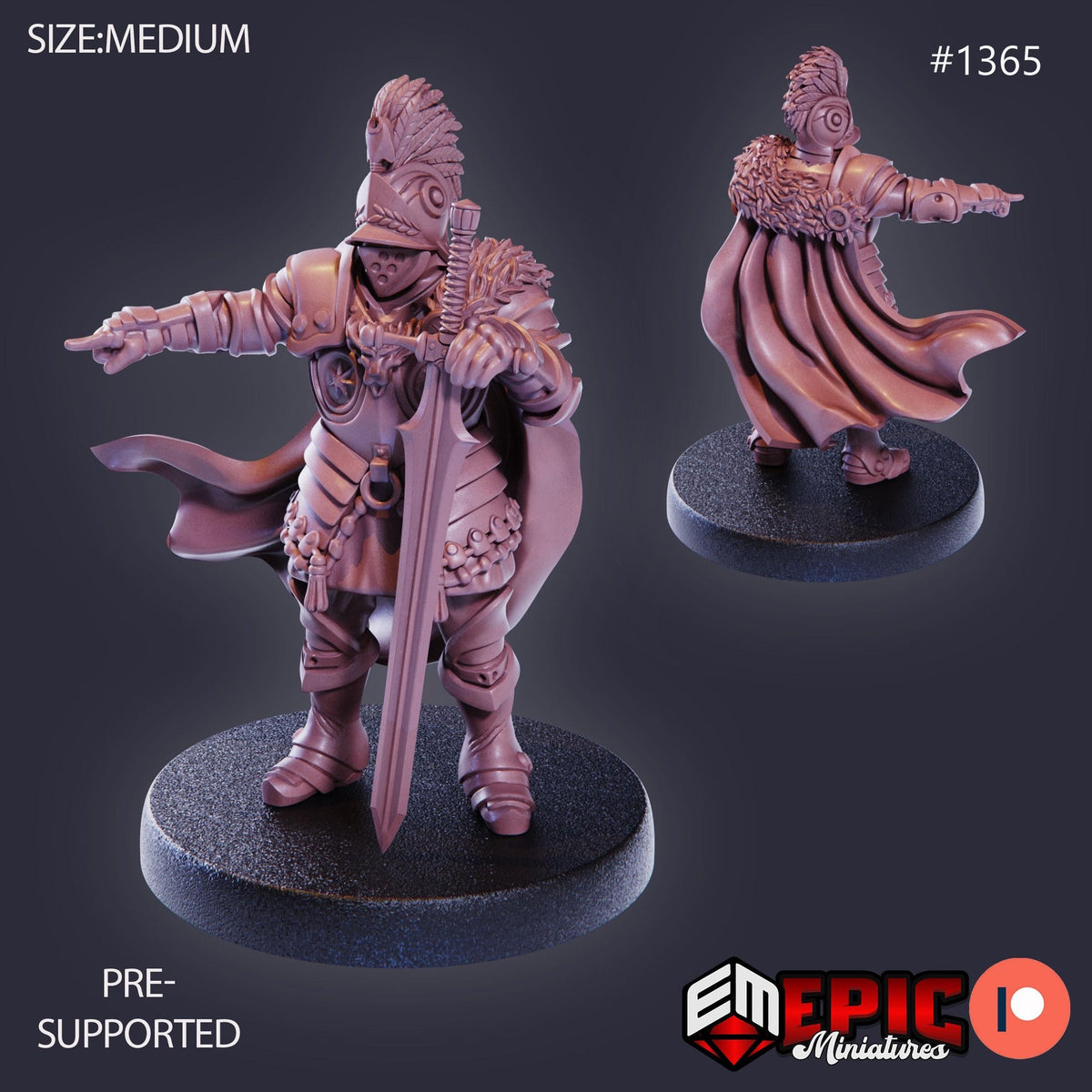 Castle Knight Option #1365 front DND miniature Kingdom of Secrets 16k resin