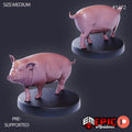 Farm Animal Pig Option #1472 front DND miniature Farm Village 16k resin