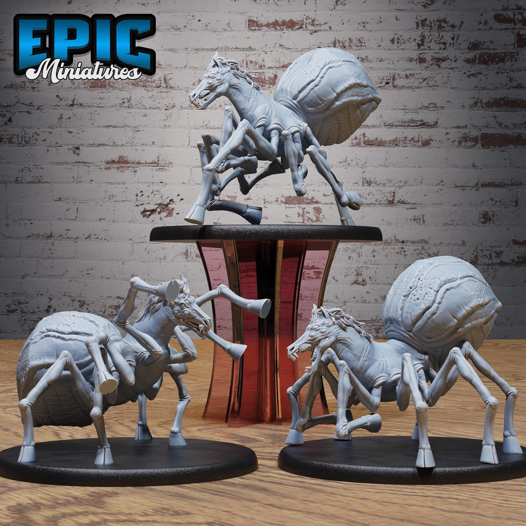 Horse Spider Set of 3 DND miniatures group photo Astral Wars