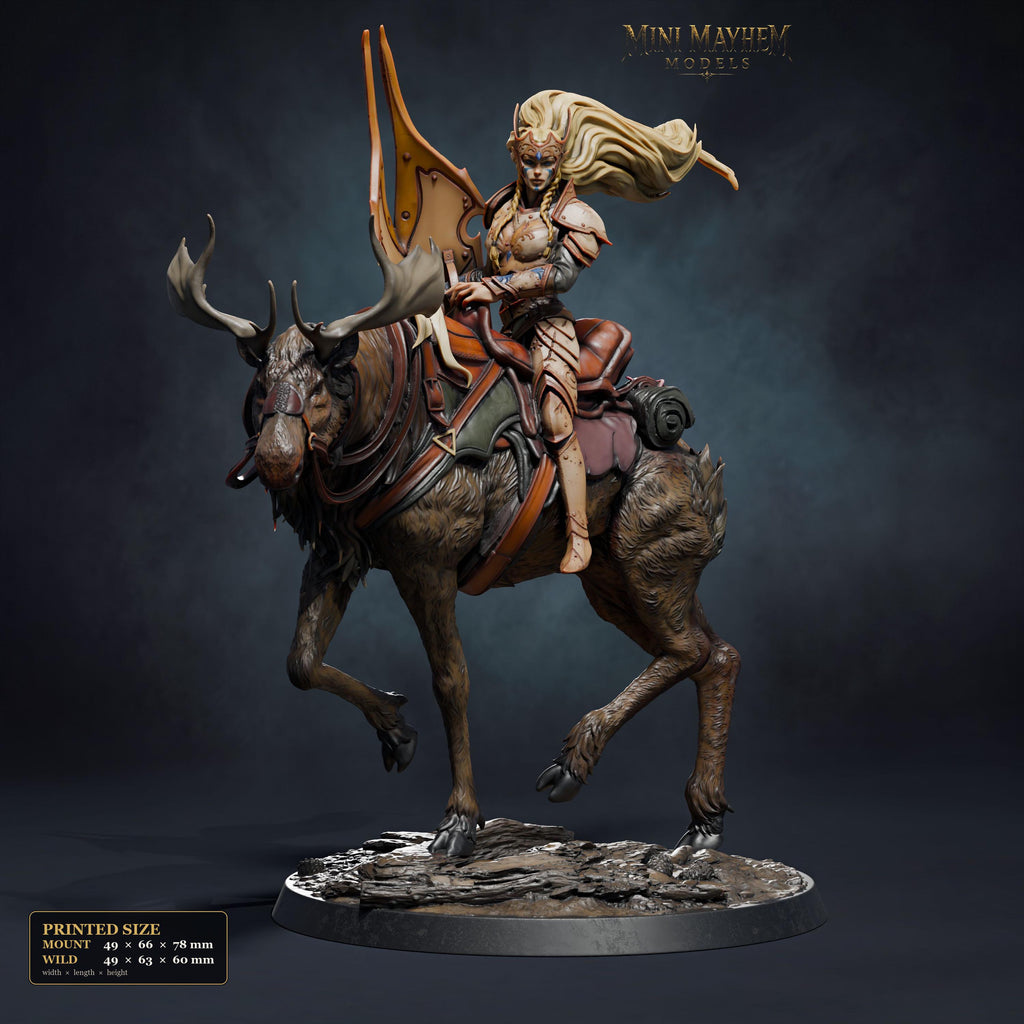 Aurora Elk-Knight Trot | group photo | DND miniatures  Rescale Miniatures