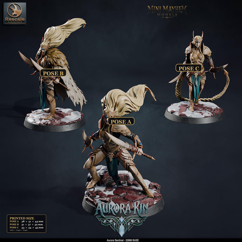Aurora Sentinel Dual Blades | group photo | DND miniatures  Rescale Miniatures