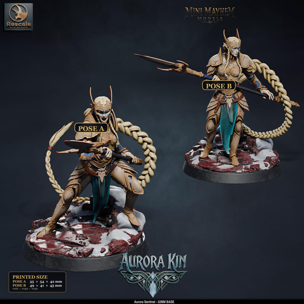 Aurora Sentinel Spear | group photo | DND miniatures  Rescale Miniatures