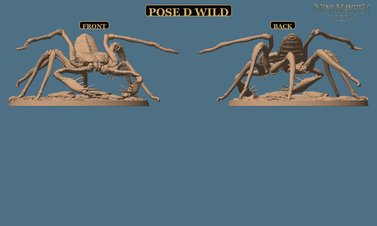 Hollowblade Crawlers Poses D E F Deepwood Hollow | Option: Pose E Saddle | front | DND miniature  Rescale Miniatures