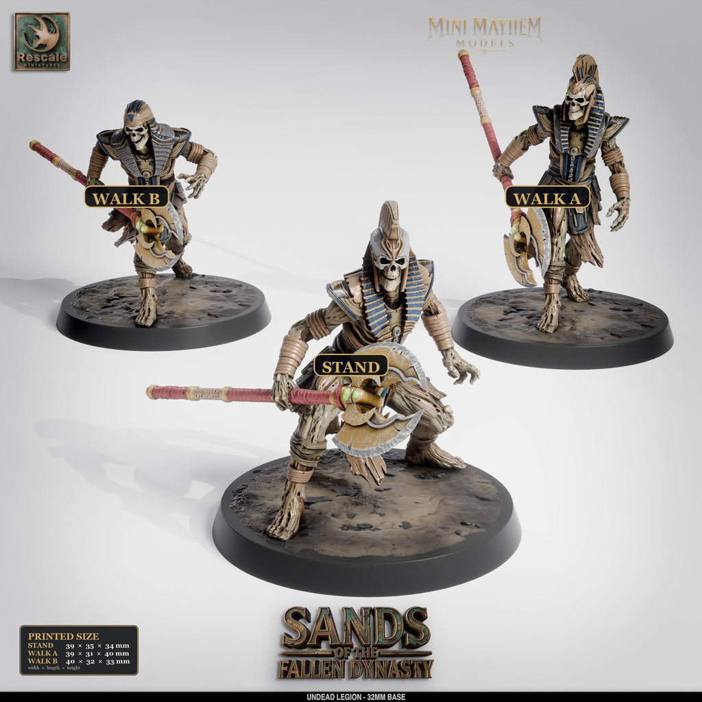 Undead Legion Halberd Sands Dynasty | group photo | DND miniatures  Rescale Miniatures