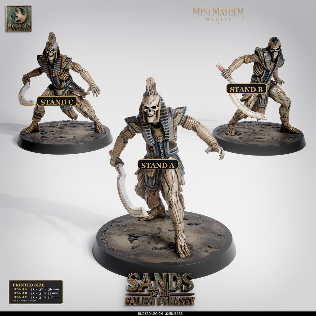 Undead Legion Sword Sands Dynasty | group photo | DND miniatures  Rescale Miniatures