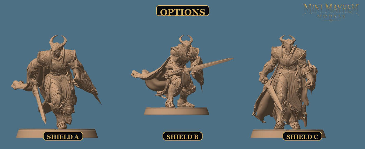 Knight of Bahamut Sword and Shield Silver Crusade | group photo | DND miniatures  Rescale Miniatures