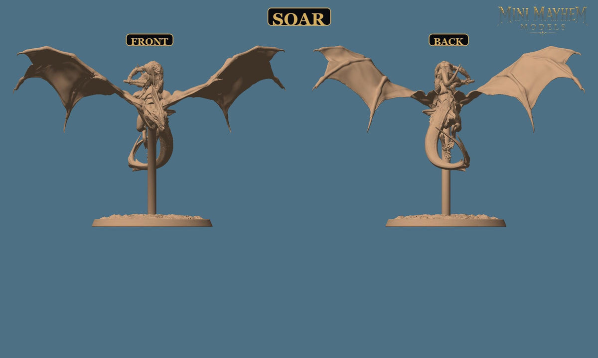 Zicoalt Dragon Rider Totem of the Scalewings | Option: Soar | front | DND miniature  Rescale Miniatures