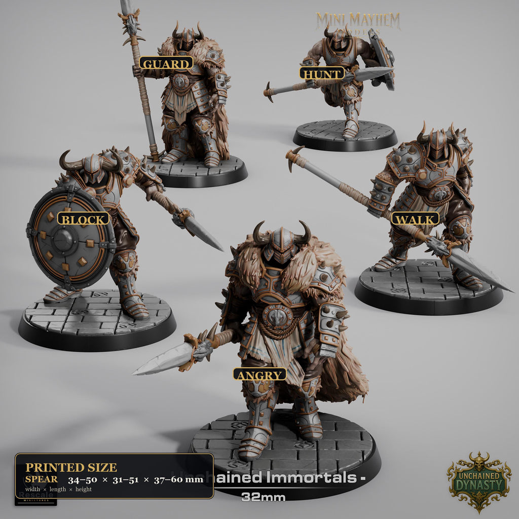 Unchained Immortal Spear Unchained Dynasty | group photo | DND miniatures  Rescale Miniatures