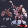 Viking Warrior Shield DND miniatures group photo Norse Raiders