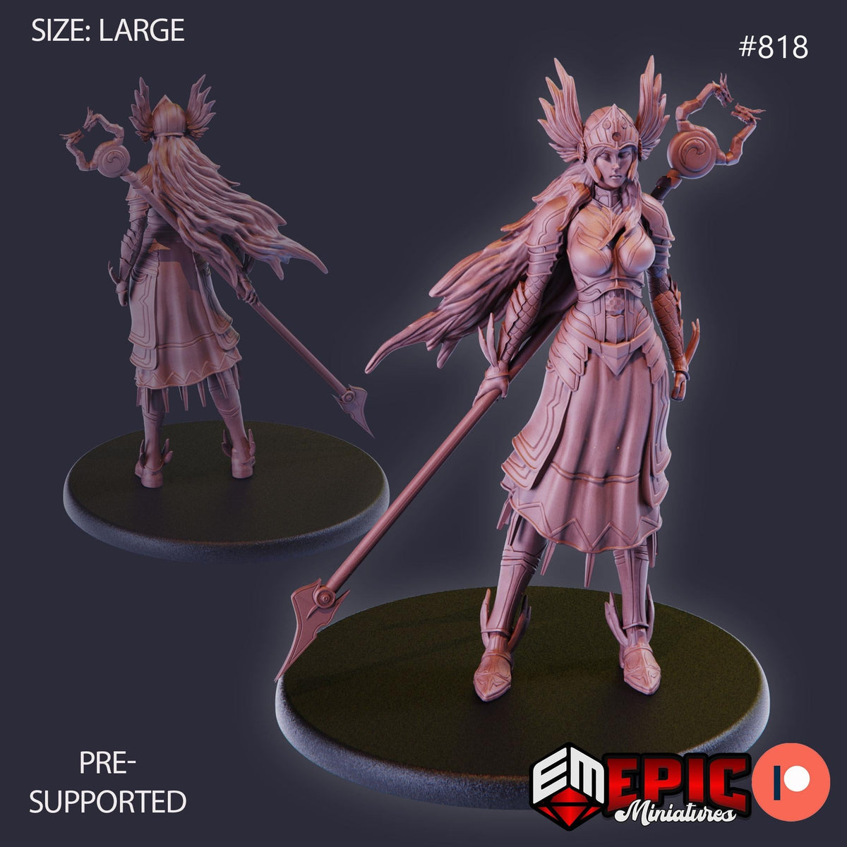 Valkyrie Option #818 front DND miniature Norse Raiders 16k resin