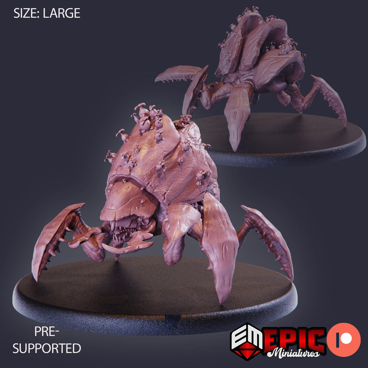 Spore Beetle DND miniatures group photo Savage Mountains