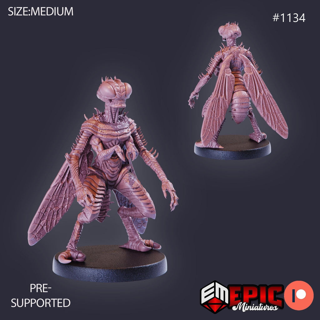 Fly Demon Option #1134 front DND miniature Hour of Demons 16k resin