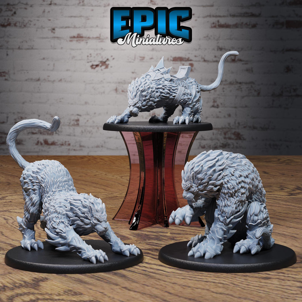 Draconic Tiger Set of 3 DND miniatures group photo Dragons Reign