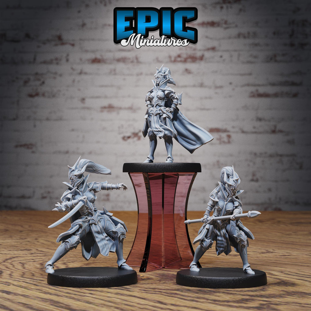 Hunters Guild Female Knight Set of 3 DND miniatures group photo Dragons Reign