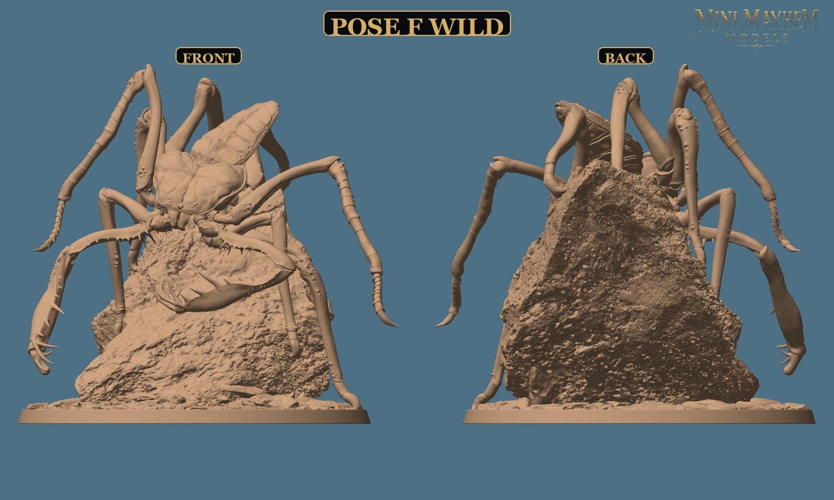 Hollowblade Crawlers Poses D E F Deepwood Hollow DND miniature  Rescale Miniatures