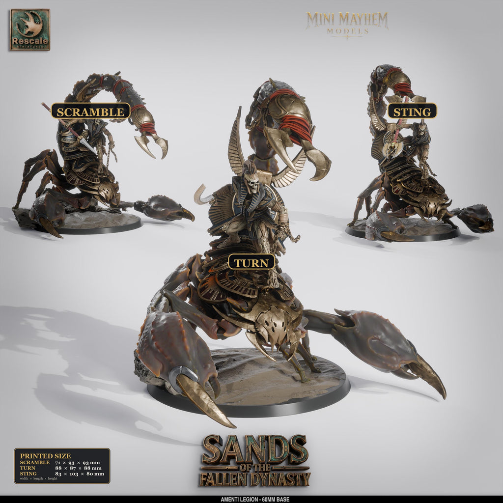 Amenti Legion Scorpion Scramble Turn Sting | group photo | DND miniatures  Rescale Miniatures